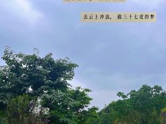 -云溪植物园