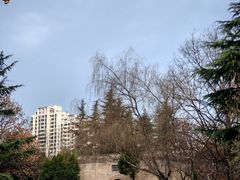 -木塔寺遗址生态公园