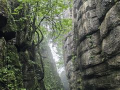 -山王坪喀斯特国家生态公园