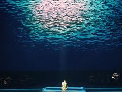 -大连体育中心体育馆