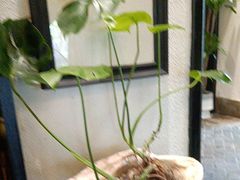 -健眺小海鲜(临海后山店)