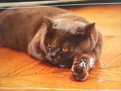 -Me Coffee下午茶艺术空间