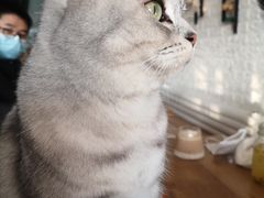 -平行世界·猫咖(首经贸店)