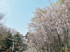 -大兴滨河森林公园