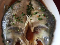 -莆鑫海鲜城(浏河店)