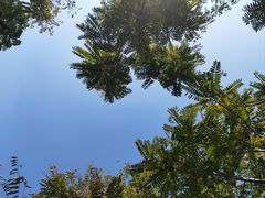 -眉山湿地公园(东坡区)