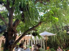 -Fern Forest Cafe