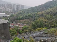 -福道