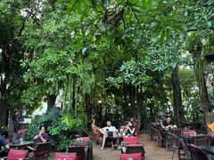 -Fern Forest Cafe