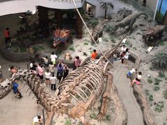 -辽宁古生物博物馆