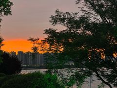 -后海彼岸花园餐厅