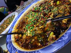 -新概念来凤鱼(璧山店)
