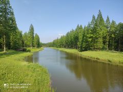 -黄海国家森林公园