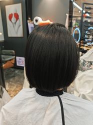 -藤野造型
