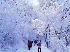 -万达广场(南京江宁店)