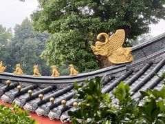 -峨眉山报国寺