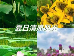 -和平公园