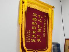 -米苏动物医院·犬猫专科·骨科外科内窥镜