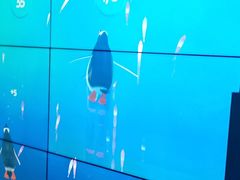 -暹罗海洋世界
