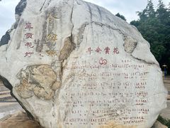 -洛龙公园