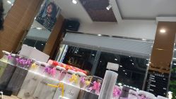 -环球蝶上美业连锁