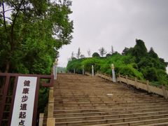 -铁山坪森林公园