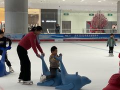 -TheRink大零溜冰场(IFS国金中心店)