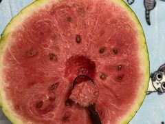 压砂瓜-PAGODA百果园(深圳天琴阁店)