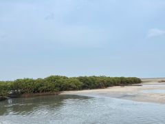 -北海金海湾红树林生态旅游区