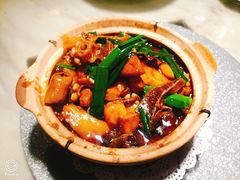 牛杂煲-老廣食堂(区庄店)