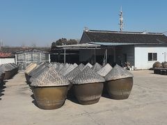 -苏州市吴中区光福窑上花果蜜饯厂