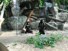 -清迈夜间动物园