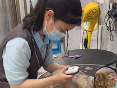 -瑞鹏宠物医院华南总院·夜诊·心脏科·骨科
