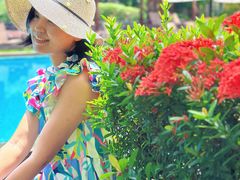 -三亚海棠湾喜来登度假酒店