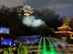 -黄鹤楼公园(黄鹤楼)