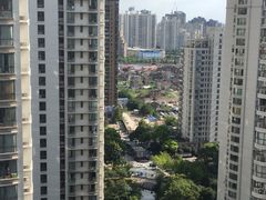 -新湖明珠城