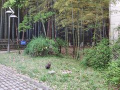 -苏州城市学院