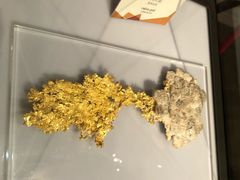 -烟台自然博物馆