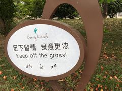 -华西村