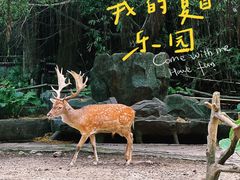 -长鹿旅游休博园