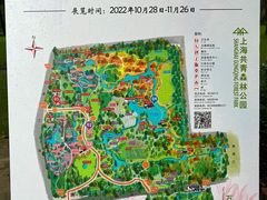 -上海共青森林公园