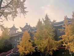 -四川大学(华西校区)