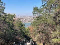 -青龙山国家森林公园