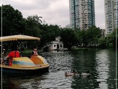 -晓港公园