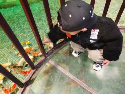 -酷嗒动物文化乐园(cutezoo西溪乐天城店)