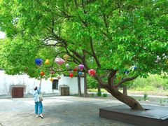 -同里国家湿地公园
