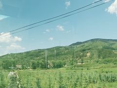 -塞罕坝国家级自然保护区