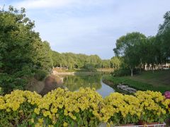 -大兴滨河森林公园