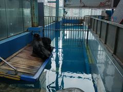 -成都浩海立方海洋公园