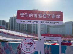 -沈阳奥体冰雪嘉年华